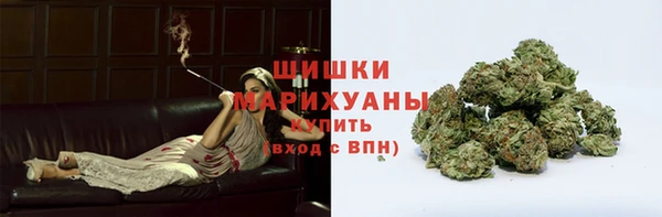 mix Богородицк